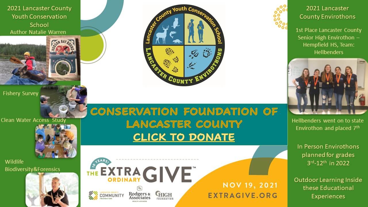 Extra Give Promo