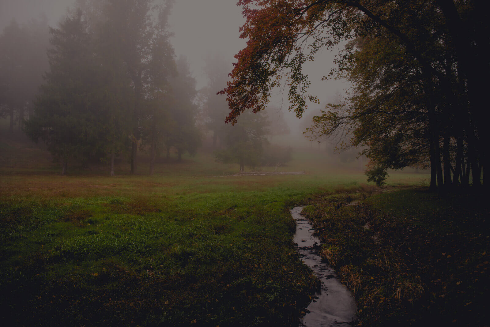 Fog with Stream