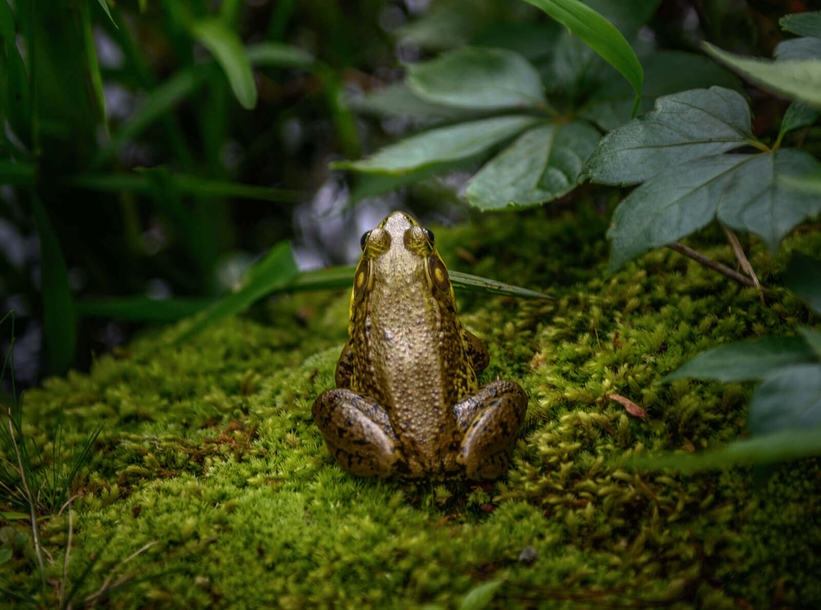 Home - Lancaster County Conservation District