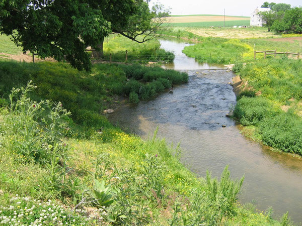 Stream and field